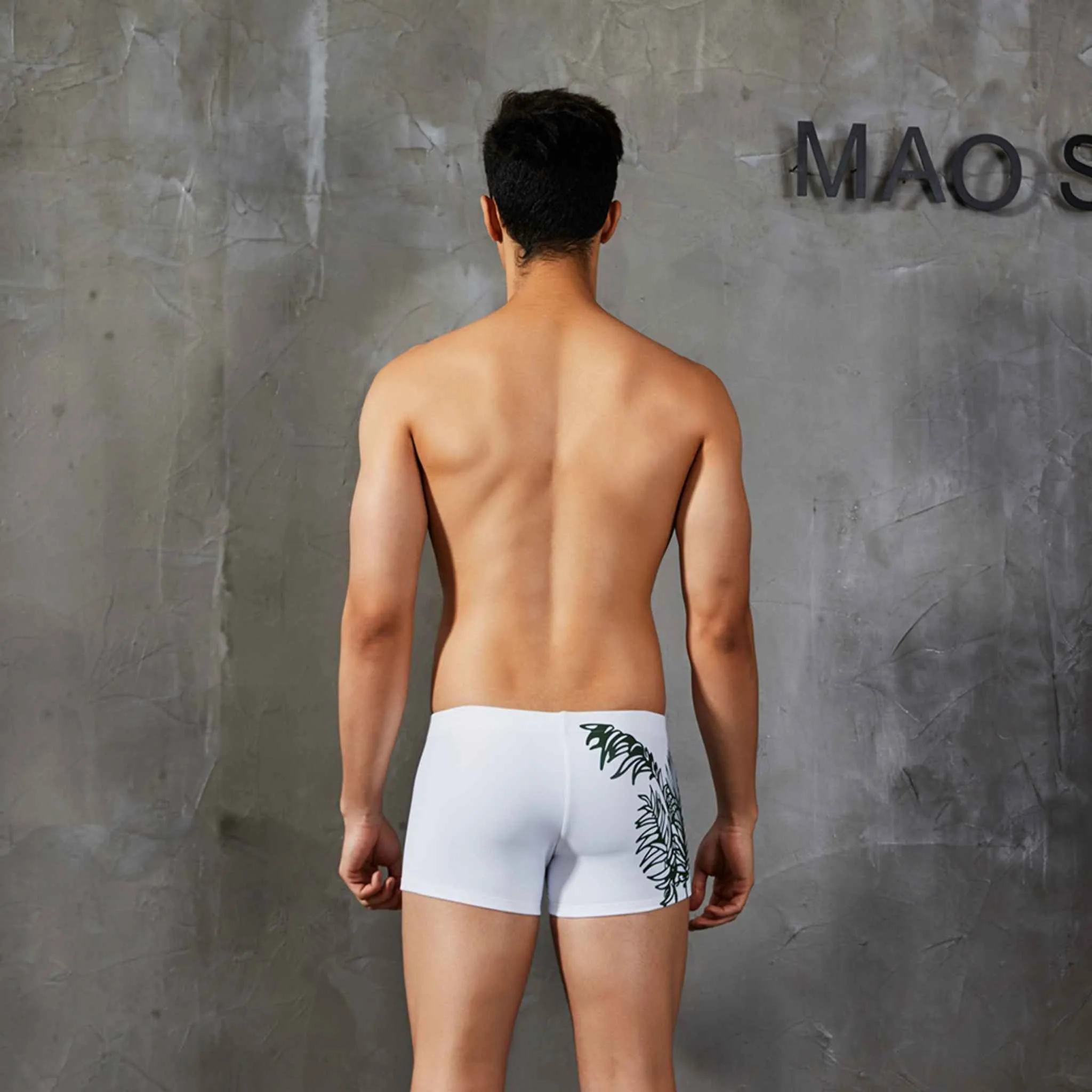 Queen Palm Swim Brief Trunks